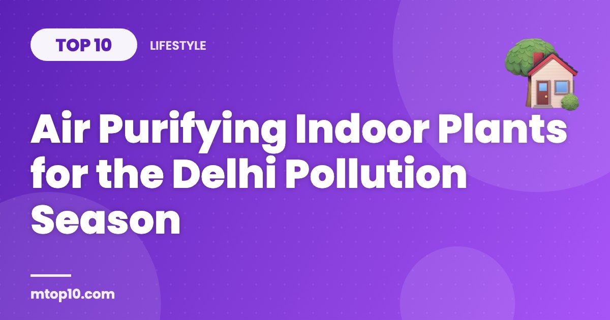 Top 10 Air Purifying Indoor Plants for the Delhi Pollution Season