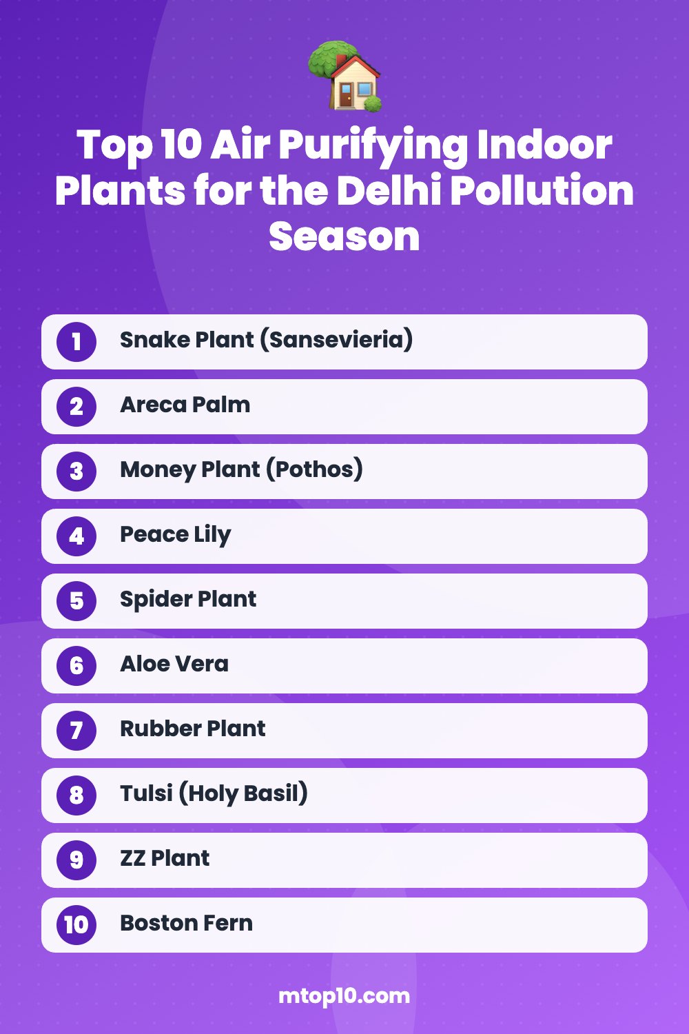 Top 10 Air Purifying Indoor Plants for the Delhi Pollution Season – quick list infographic