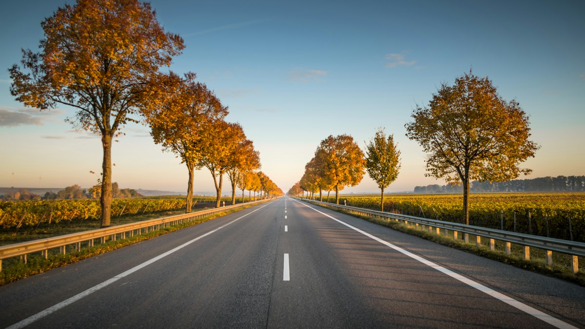Top 10 Best Road Trips in the USA You Need to Take